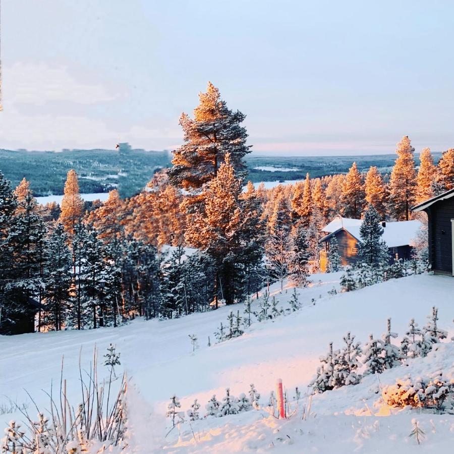 1125 Fjaellstugan Lofsdalen Exterior foto