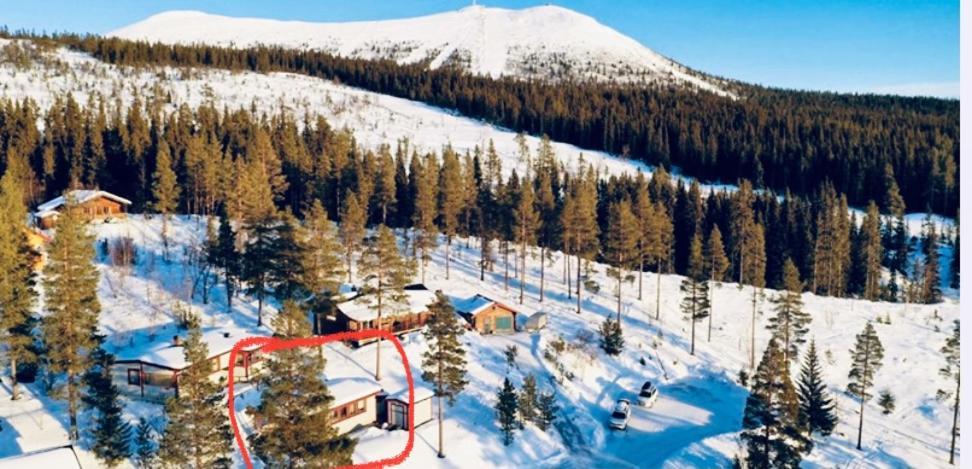 1125 Fjaellstugan Lofsdalen Exterior foto