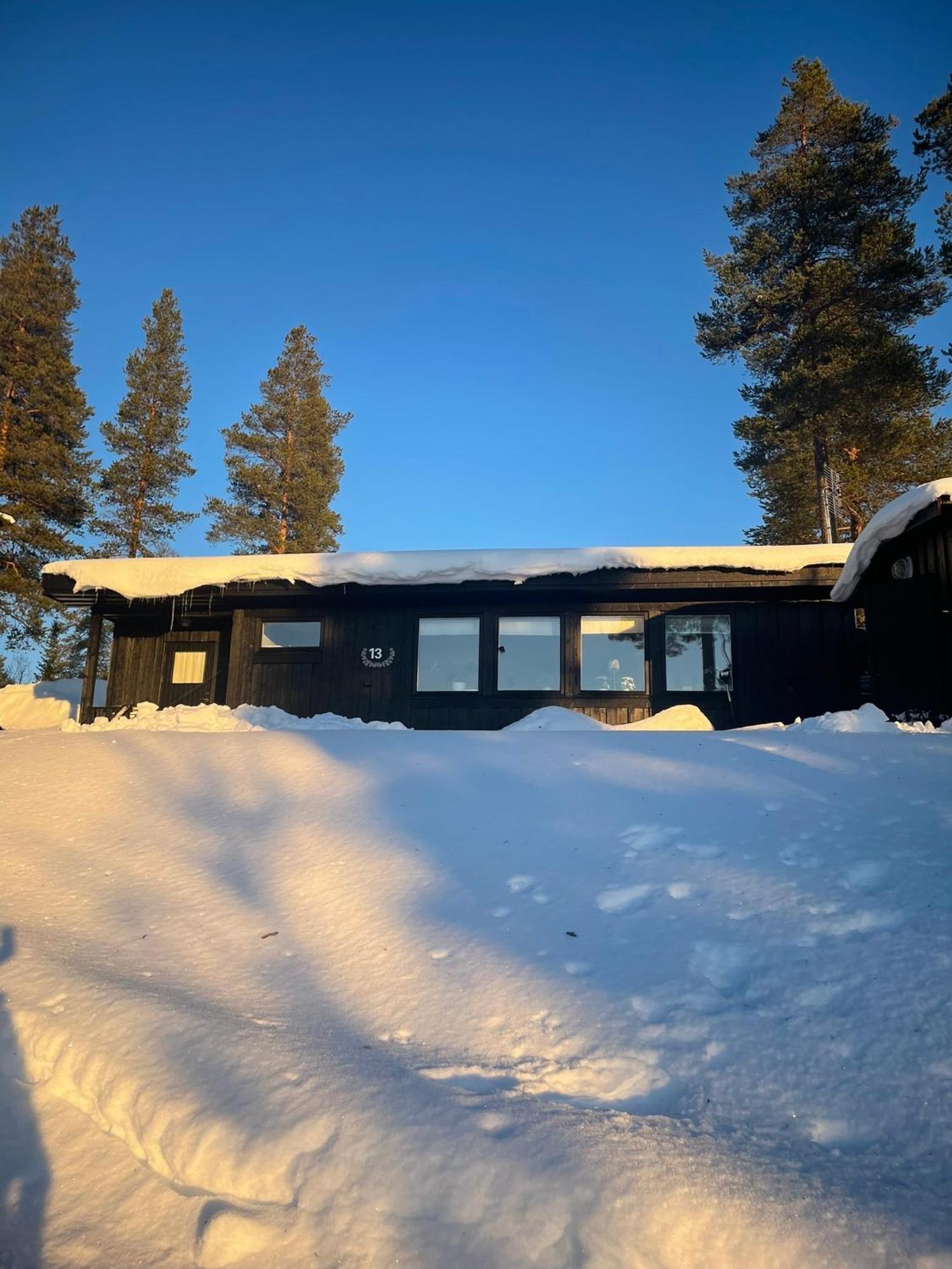 1125 Fjaellstugan Lofsdalen Exterior foto