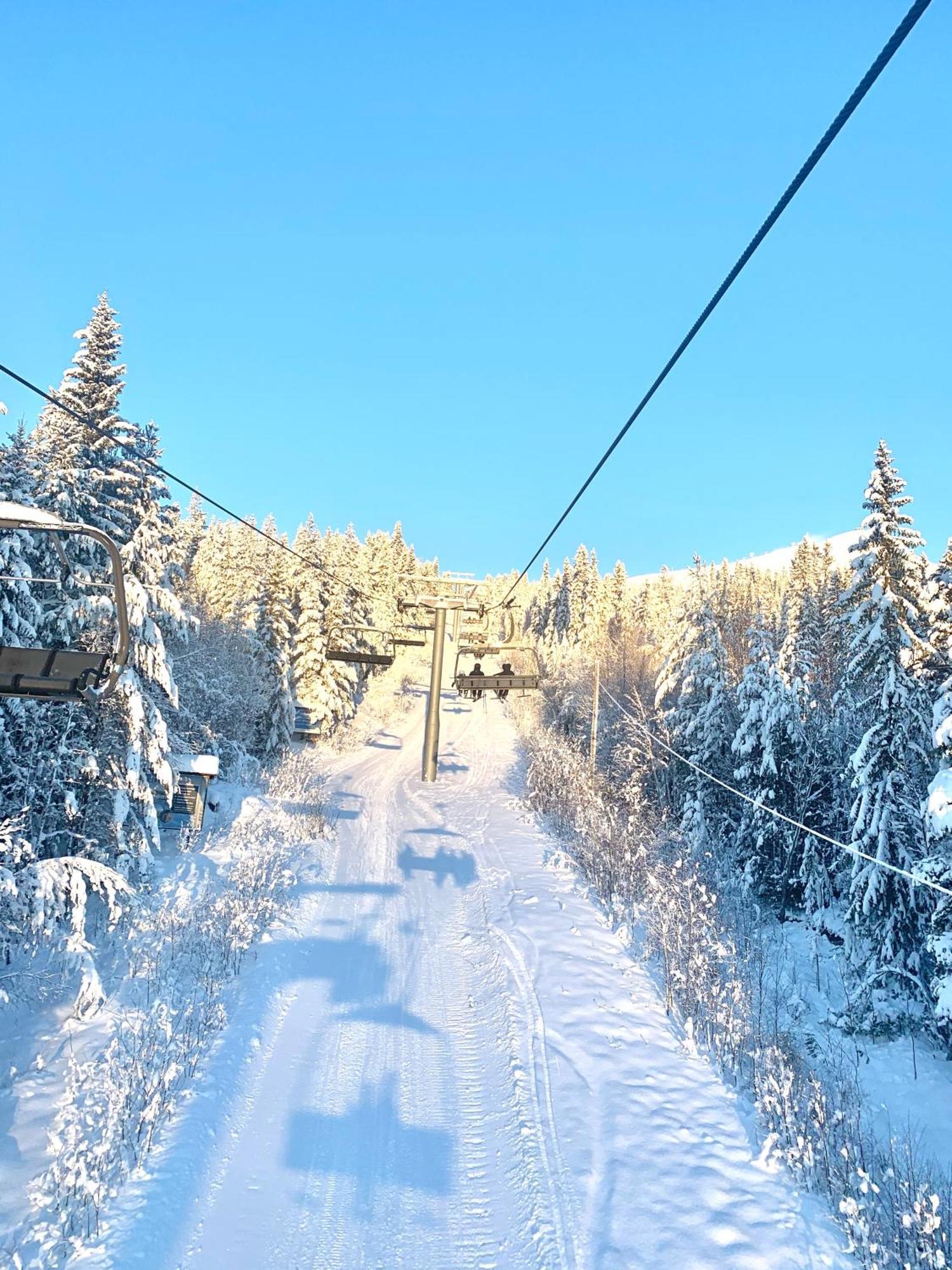1125 Fjaellstugan Lofsdalen Exterior foto